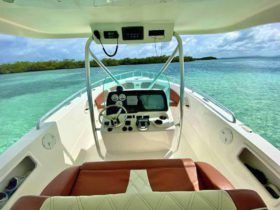 CARVER SPORT 33