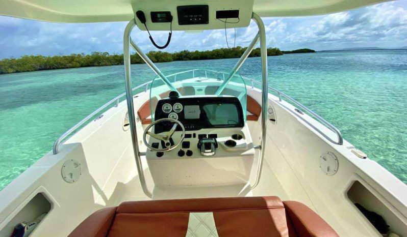 
								CARVER SPORT 33 full									