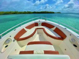 
										CARVER SPORT 33 full									