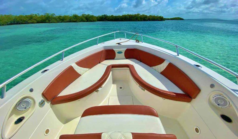 
								CARVER SPORT 33 full									
