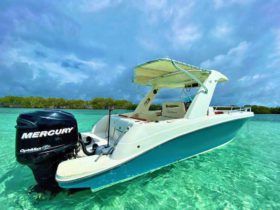 CARVER SPORT 33