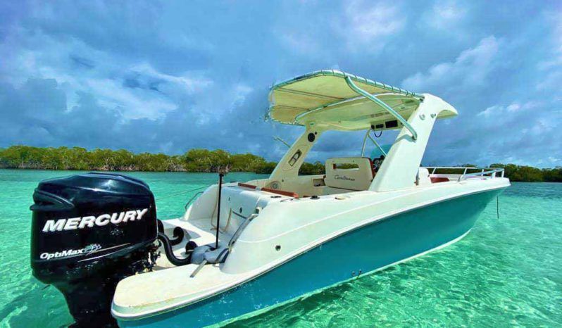 
								CARVER SPORT 33 full									
