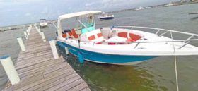 CARVER SPORT 33