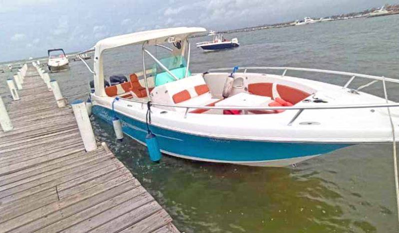 
								CARVER SPORT 33 full									