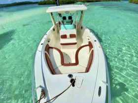 CARVER SPORT 33