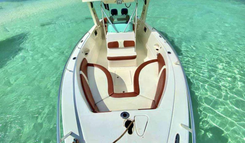 
								CARVER SPORT 33 full									