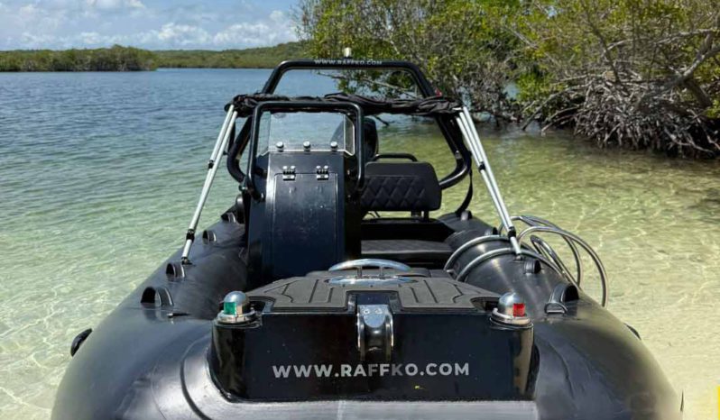 
								DINGHY RAFFKO PERFORMANCE 12 full									