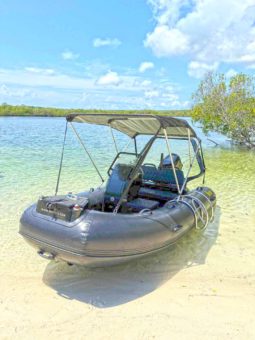
										DINGHY RAFFKO PERFORMANCE 12 full									