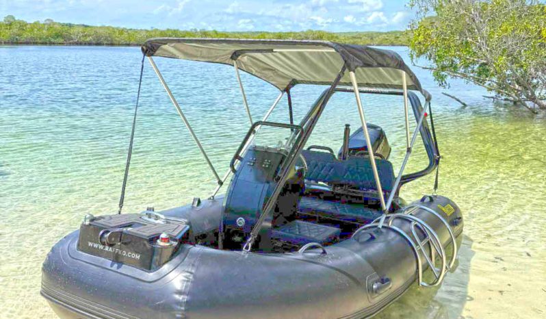 
								DINGHY RAFFKO PERFORMANCE 12 full									