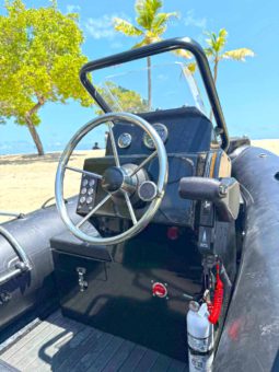 
										DINGHY RAFFKO PERFORMANCE 12 full									