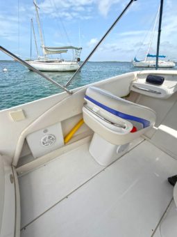 
										INTERMARINE BABY AVANTI 25.5 full									