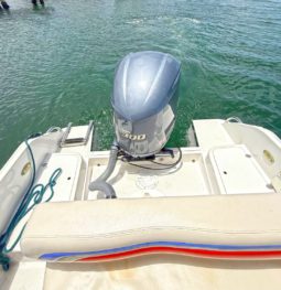 
										INTERMARINE BABY AVANTI 25.5 full									