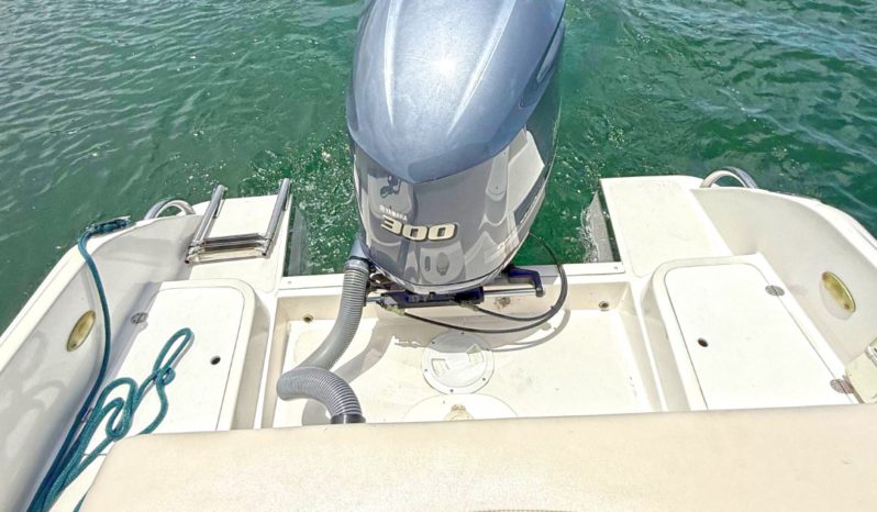 
								INTERMARINE BABY AVANTI 25.5 full									