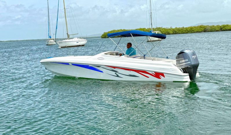 
								INTERMARINE BABY AVANTI 25.5 full									