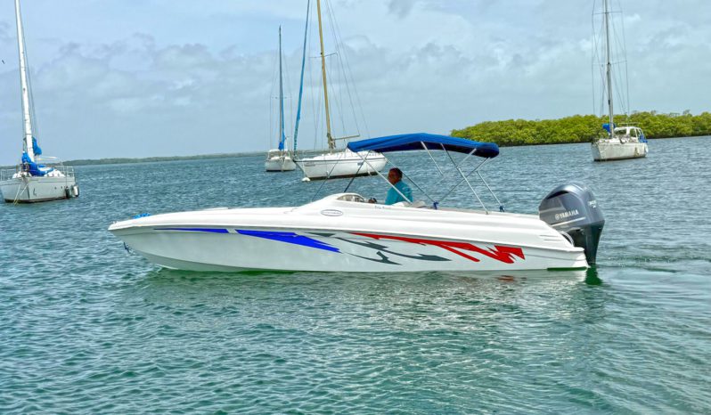 
								INTERMARINE BABY AVANTI 25.5 full									