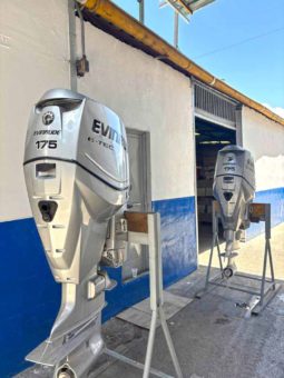 PAREJA EVINRUDE E-TEC 175HP
