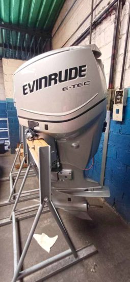 PAREJA EVINRUDE E-TEC 175HP
