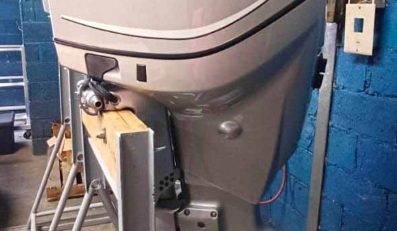 
								PAREJA EVINRUDE E-TEC 175HP full									
