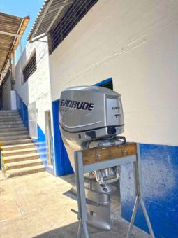 PAREJA EVINRUDE E-TEC 175HP