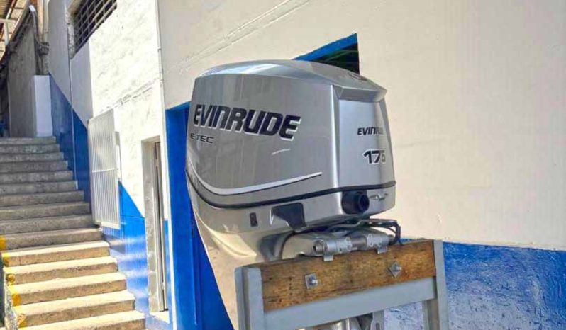 
								PAREJA EVINRUDE E-TEC 175HP full									