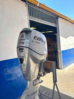 PAREJA EVINRUDE E-TEC 175HP