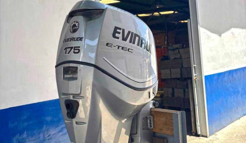 
								PAREJA EVINRUDE E-TEC 175HP full									