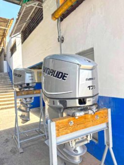 PAREJA EVINRUDE E-TEC 175HP
