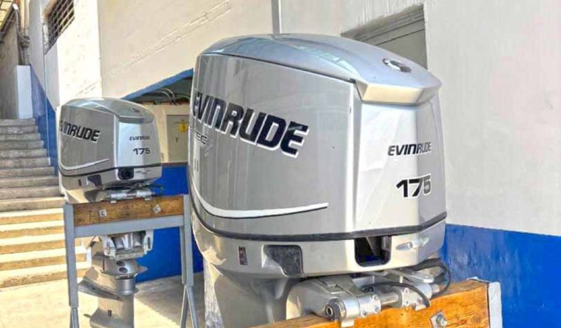 
								PAREJA EVINRUDE E-TEC 175HP full									