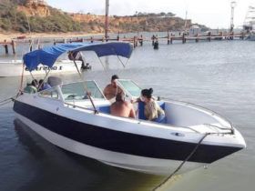 CHAPARRAL 24