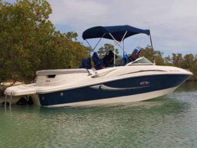 SEA RAY 50 ANIVERSARIO 19.5