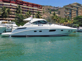 SEA RAY SUNDANCER 43