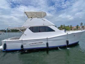 VIEIRA FLY BRIDGE 45