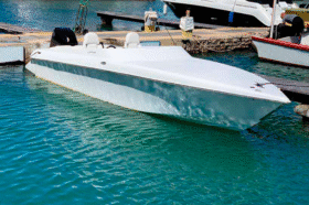 COPPOLA 24