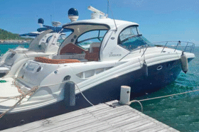 SEA RAY SUNDANCER 44