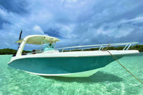 CARVER SPORT 33