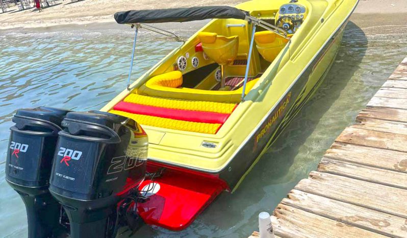 
								PROMARINE SS 800 28 full									