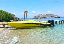 
										PROMARINE SS 800 28 full									
