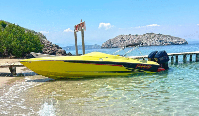 
								PROMARINE SS 800 28 full									