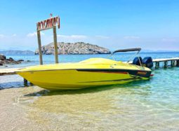 PROMARINE SS 800 28