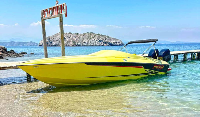 
								PROMARINE SS 800 28 full									