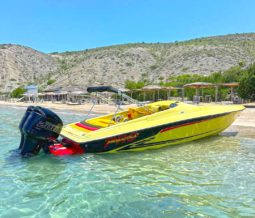 PROMARINE SS 800 28