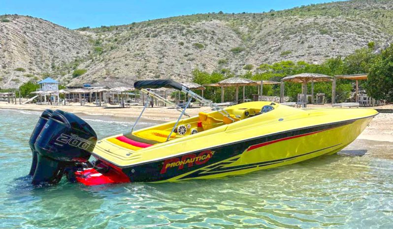 
								PROMARINE SS 800 28 full									