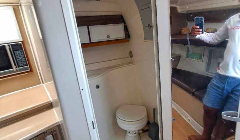 
								PRONAUTICA COASTAL 34 full									