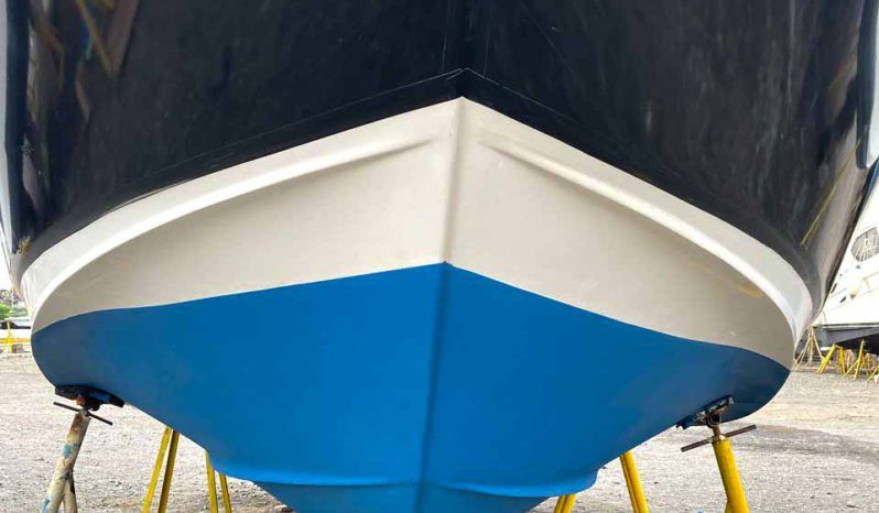 
								REGAL VENTURA 33 full									