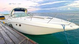 SEA RAY 330 35.2