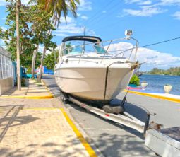 SEA RAY 330 35.2