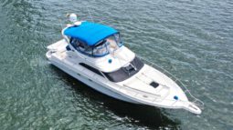 SEA RAY EXPRESS BRIDGE 45