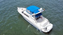 SEA RAY EXPRESS BRIDGE 45