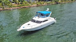 SEA RAY EXPRESS BRIDGE 45