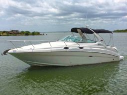 SEA RAY SUNDANCER 28